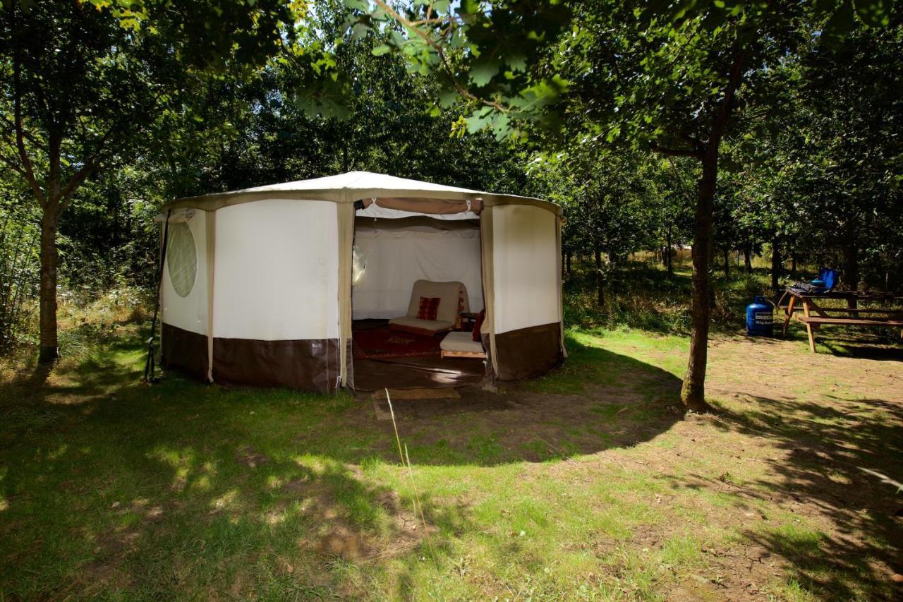 Hotel Dgg Woodland Escape South Barrow Exterior foto
