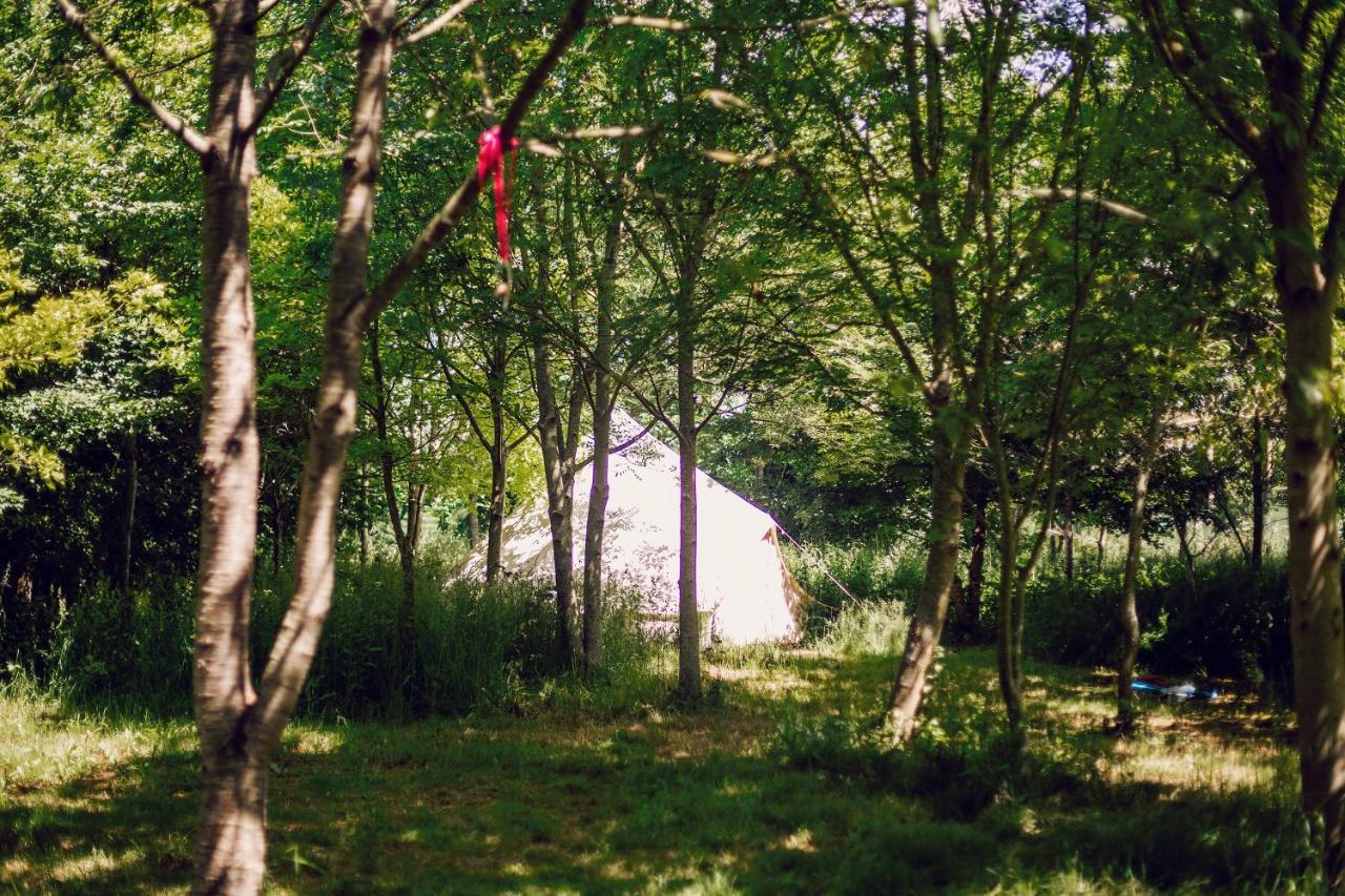 Hotel Dgg Woodland Escape South Barrow Exterior foto