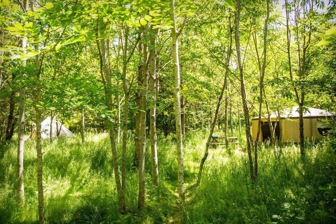 Hotel Dgg Woodland Escape South Barrow Exterior foto